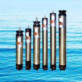 WHN/WHM series submersible motors with NEMA standardWHN/WHM submersible motors with NEMA standard